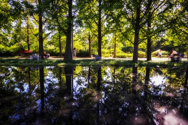 Seoul Forest park pond speglar — Stockfoto