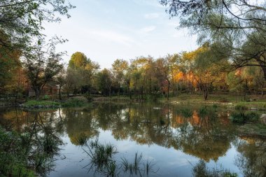 Sonbahar yaprakları Seul Çocuk Parkı 'ndaki küçük bir gölete yansıyor.