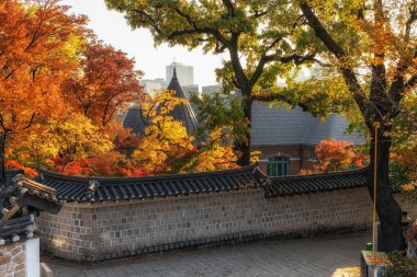 Deoksugung Sarayı taş duvar yolu ya da sonbahar yaprakları mevsiminde çekilmiş doldam gil. Güney Kore, Seul 'de ünlü bir turizm merkezi.