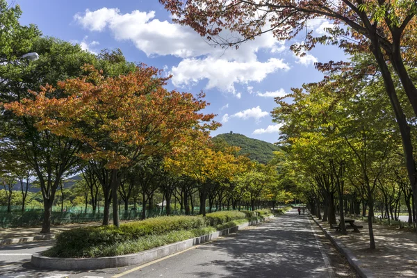 Incheon Grand Park début automne — Photo