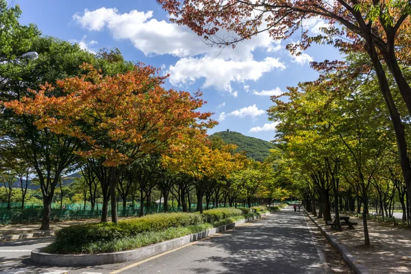 Incheon Grand Park début automne — Photo