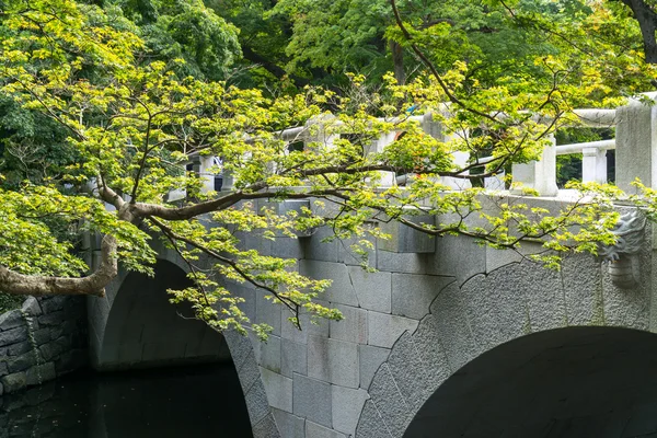 Árvore ramo e templo ponte — Fotografia de Stock