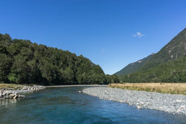 Mackay creek landskap — Stockfoto