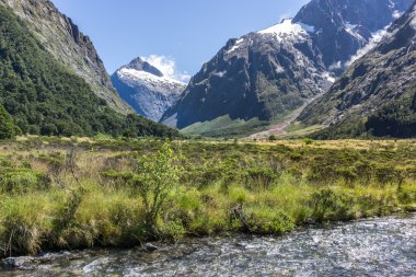 hollyford Vadisi creek