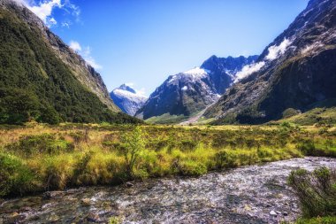 hollyford Vadisi creek