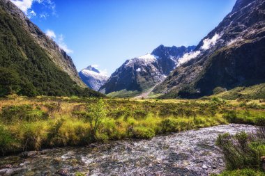 hollyford Vadisi creek
