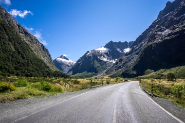 Milford yol hollyford Vadisi