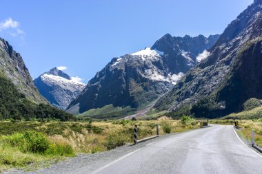 Milford yol hollyford Vadisi