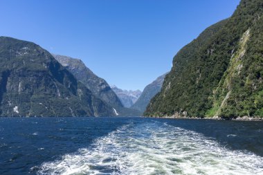 Milford ses manzaralı alınan tekne gezisi