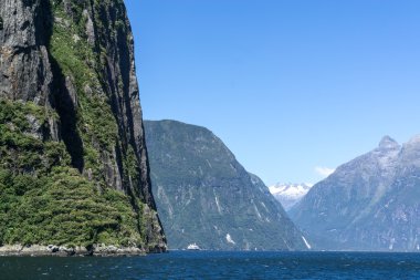 Milford ses manzara görünümünden tekne gezisi