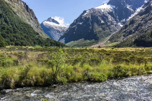 Hollyford valley creek — Stockfoto