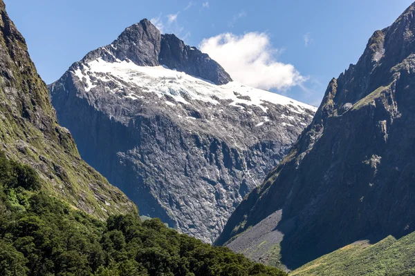 Hollyford valley краєвид — стокове фото