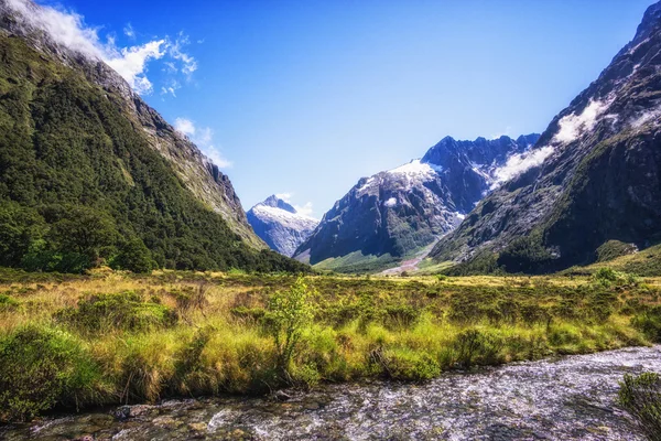 Hollyford κοιλάδα κολπίσκου — Φωτογραφία Αρχείου