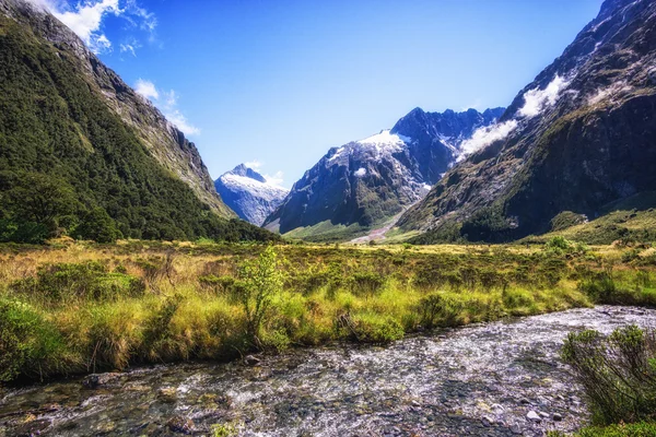 Hollyford κοιλάδα κολπίσκου — Φωτογραφία Αρχείου