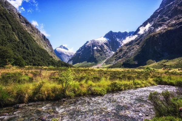 Hollyford κοιλάδα κολπίσκου — Φωτογραφία Αρχείου