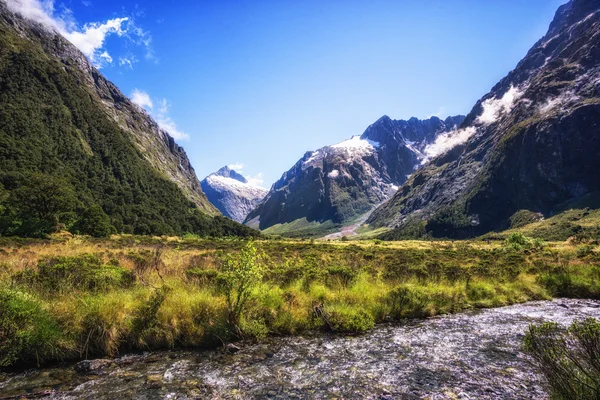 Hollyford Valley Creek — Foto Stock