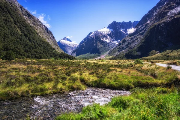 Hollyford κοιλάδα κολπίσκου — Φωτογραφία Αρχείου