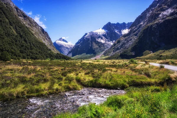 Hollyford Valley Creek — Foto Stock