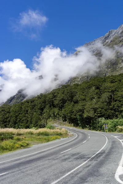 Strada Milford lungo la valle di Hollyford — Foto Stock