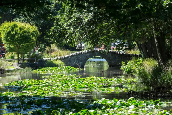 Queenstown garden bridge — Stock Photo, Image