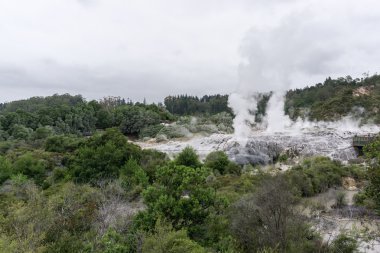 te puia Jeotermal Vadisi