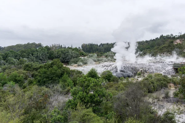 Геотермальна долина Te puia — стокове фото