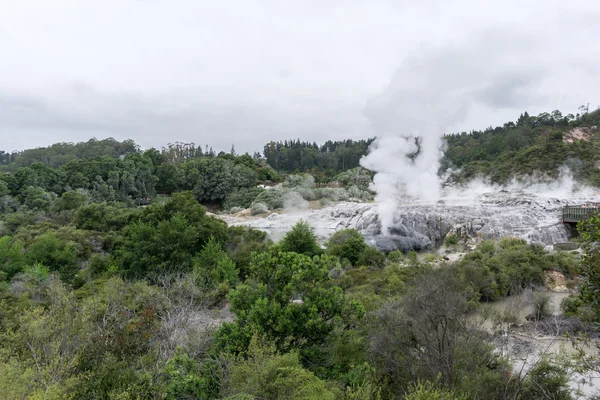 Te puia geothermische vallei — Stockfoto