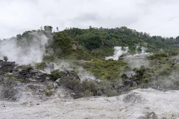 Te puia geothermal valley — Stock Photo, Image