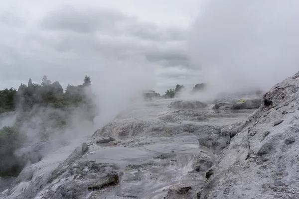 Te puia geotermální údolí — Stock fotografie