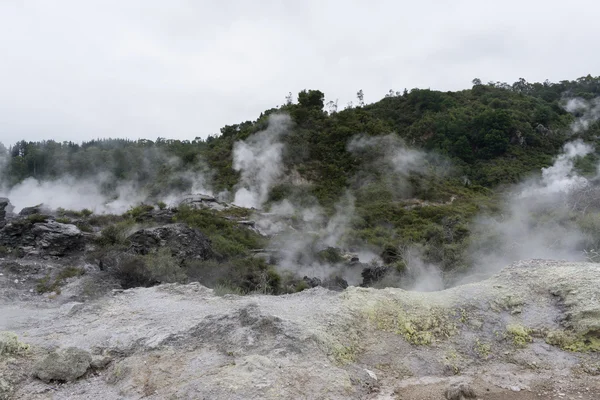 Te puia geotermikus-völgy — Stock Fotó