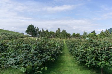 agrodome çiftlik Tur