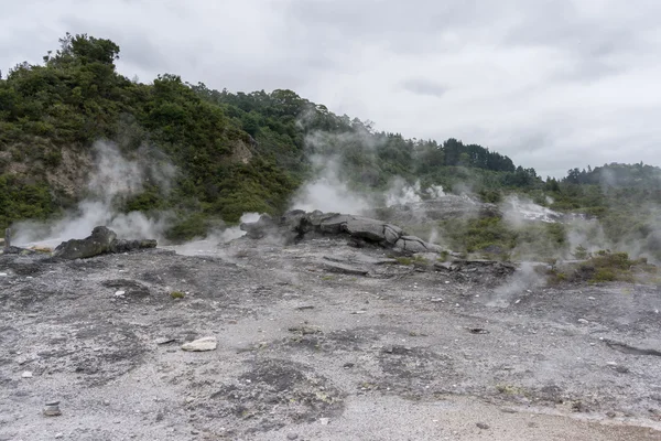 Te puia geothermal von — стоковое фото