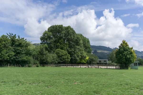 Agrodome farm tour — Stock fotografie