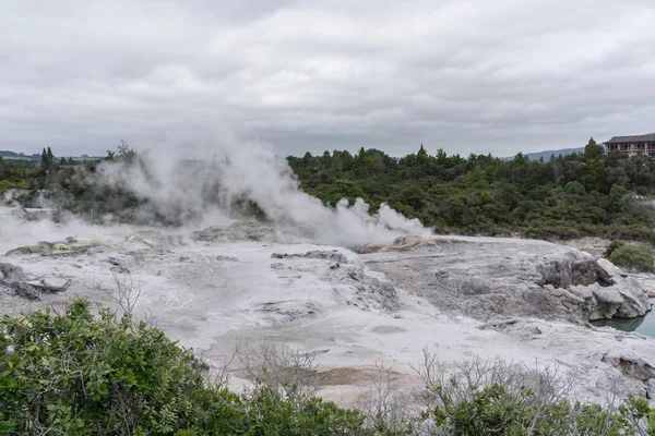 Te puia geothermische vallei — Stockfoto