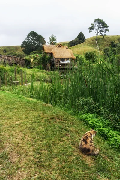 Moinho de hobbiton com gato — Fotografia de Stock