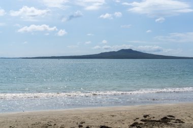 Auckland plaj manzarası