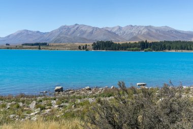 Lake tekapo Manzaralı