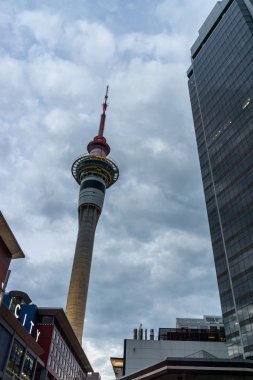 Auckland skytower gece