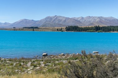 Lake tekapo Manzaralı