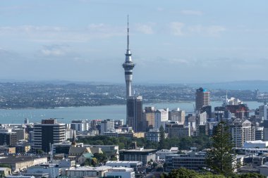 Auckland Şehir Manzaralı 