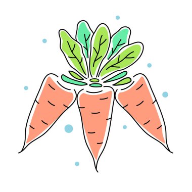 Beyaz arkaplanda yeşil yapraklı turuncu havuç örnekleri