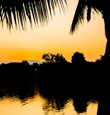 Arka planda hindistan cevizi ağacı ve günbatımı görüntüsü var..