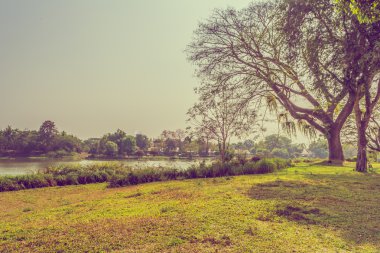 Arka plan için çim alanı ve nehrin gündüz saatindeki klasik ton görüntüsü.