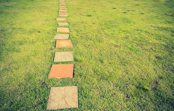 Vintage Tone Image Grass Field Both Side Pathway — Stock Photo, Image