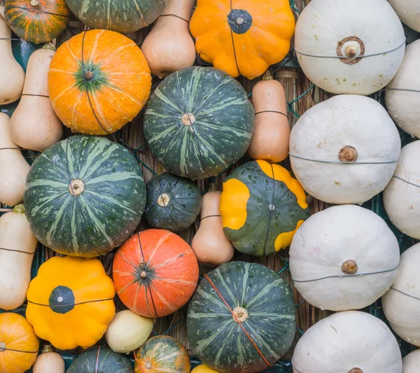 Many of pumpkin decoration on the wall — Stock Photo, Image
