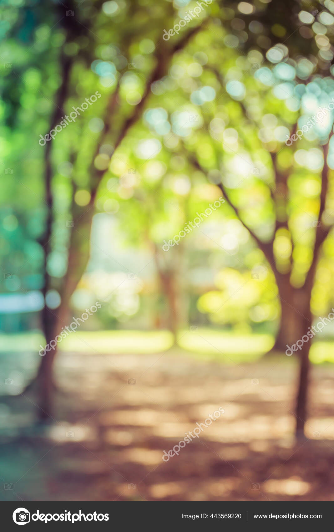 Abstract Blur Image Road Green Garden Bokeh Background Usage Stock
