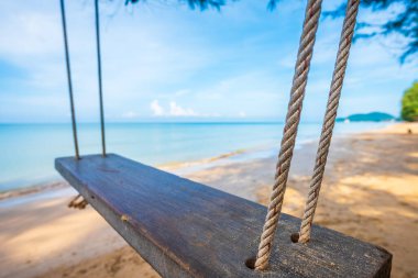Deniz kenarındaki çam ağacında asılı salıncak resmi. Sabah saatlerinde arka planda güzel bir plaj....