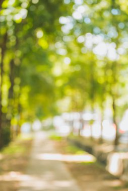 Arka plan kullanımı için bokeh ile yeşil bahçede yolun dikey soyut bulanık görüntüsü. (Klasik ton))