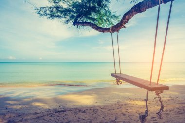 Deniz kenarındaki çam ağacına asılı salıncağın klasik ton görüntüsü. Sabah saatlerinde arka planda güzel bir plaj....