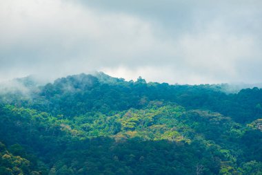 Gün içinde arkaplanda dağ ve bulutlu gökyüzü görüntüsü.